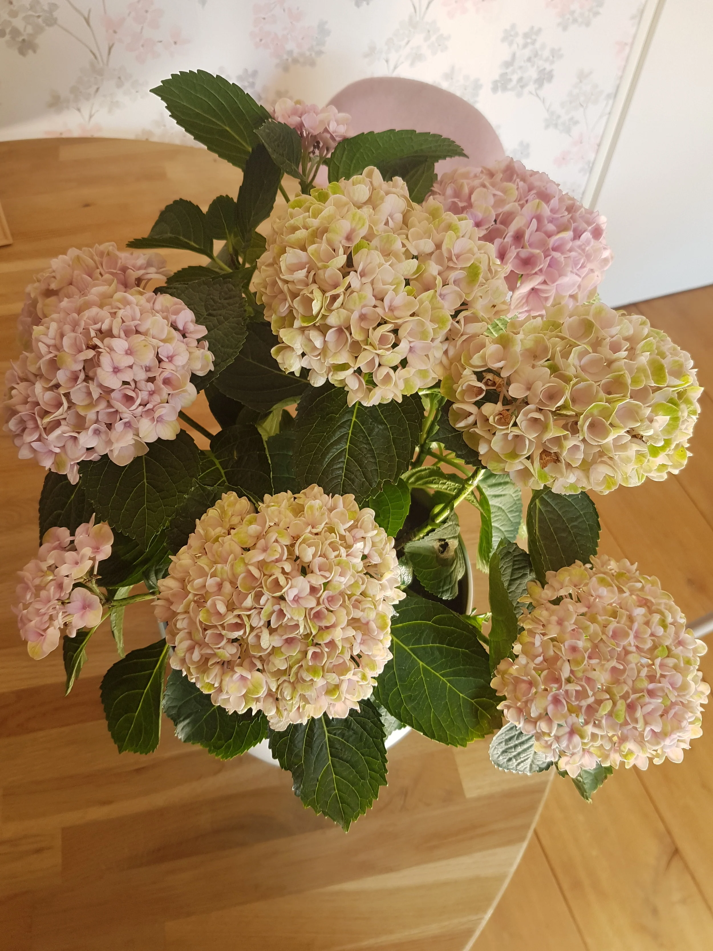 2018-07-05 10.20.11.jpg