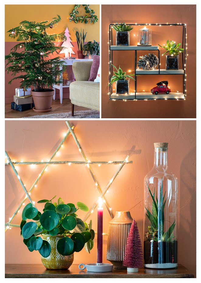 092018 IntratruinKerst Trends Los2.jpg