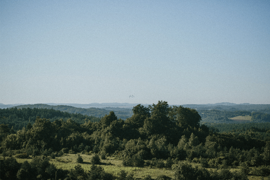 IMG_0126a.gif