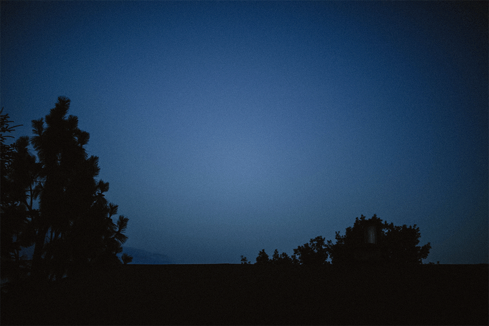 dach2a.gif