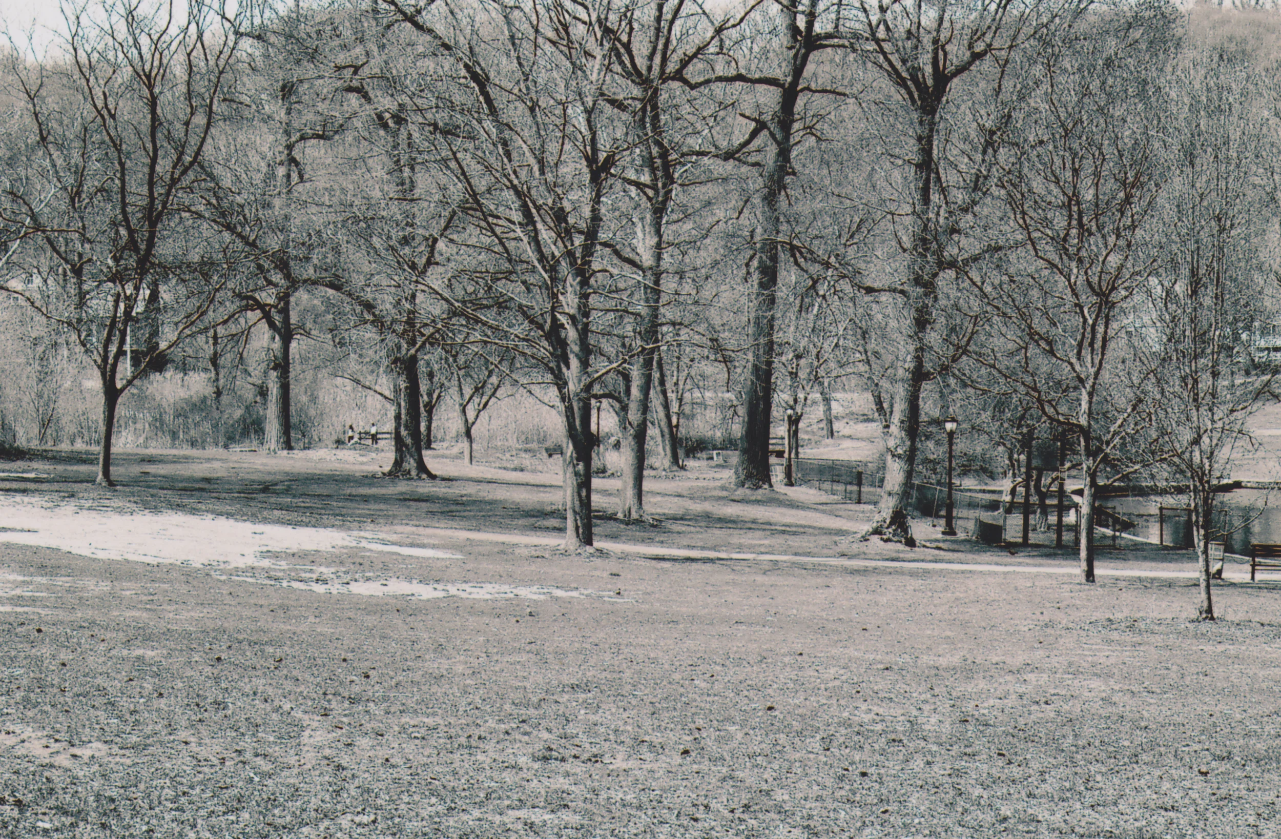 Park1.jpg