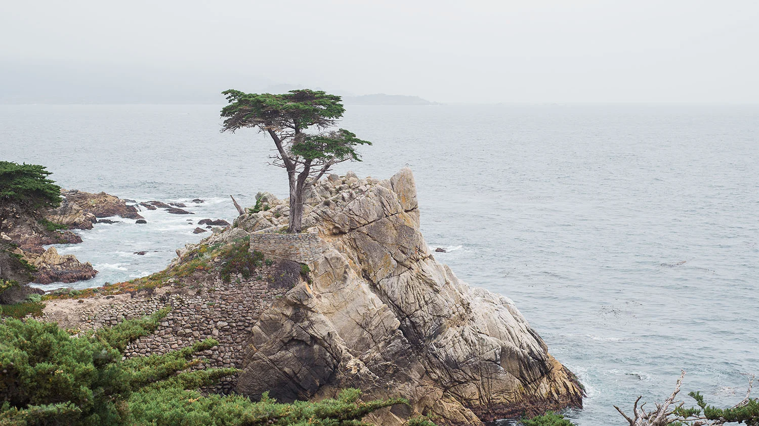 LONE CYPRESS 17MILE DRIVE