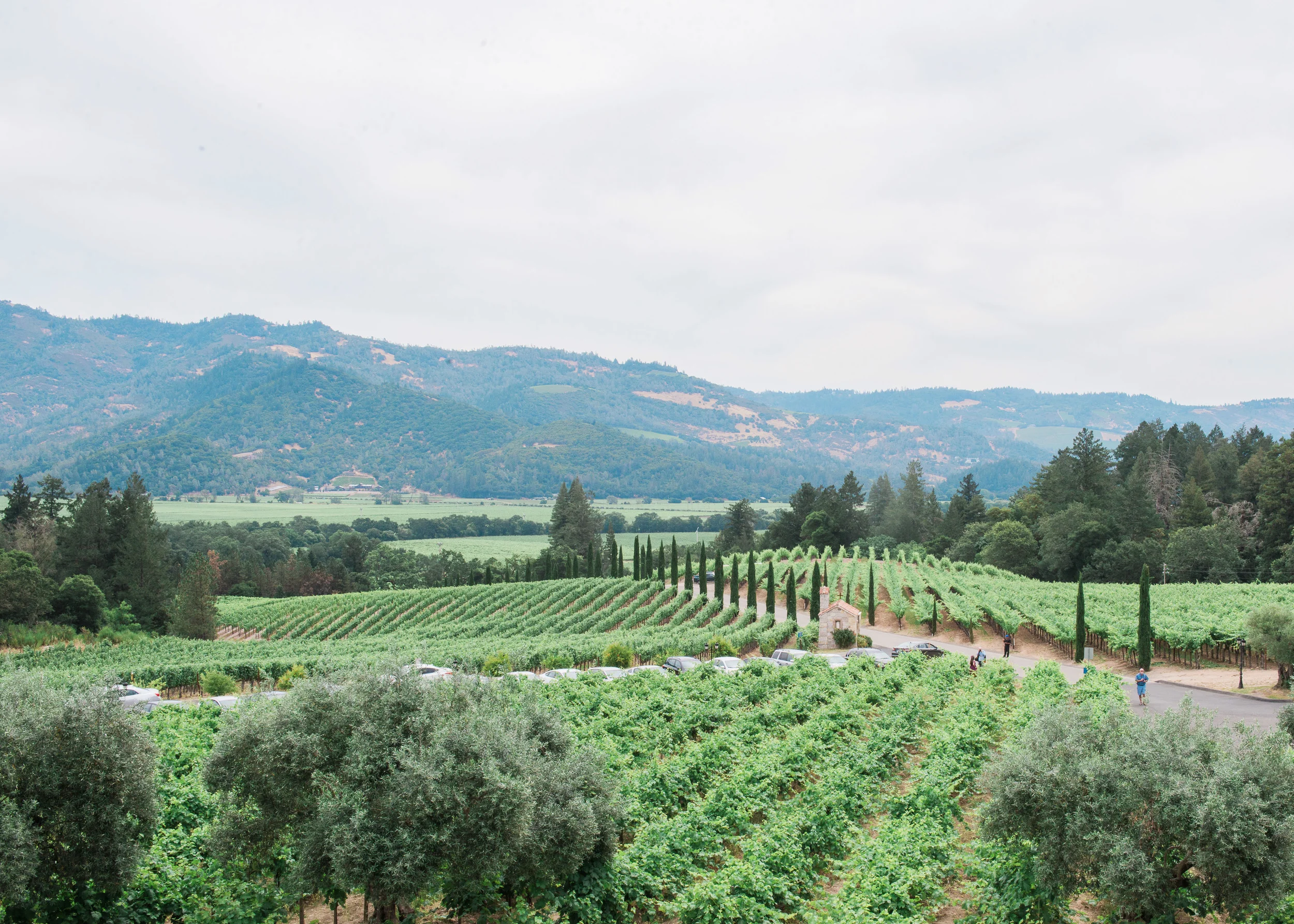 NAPA VALLEY