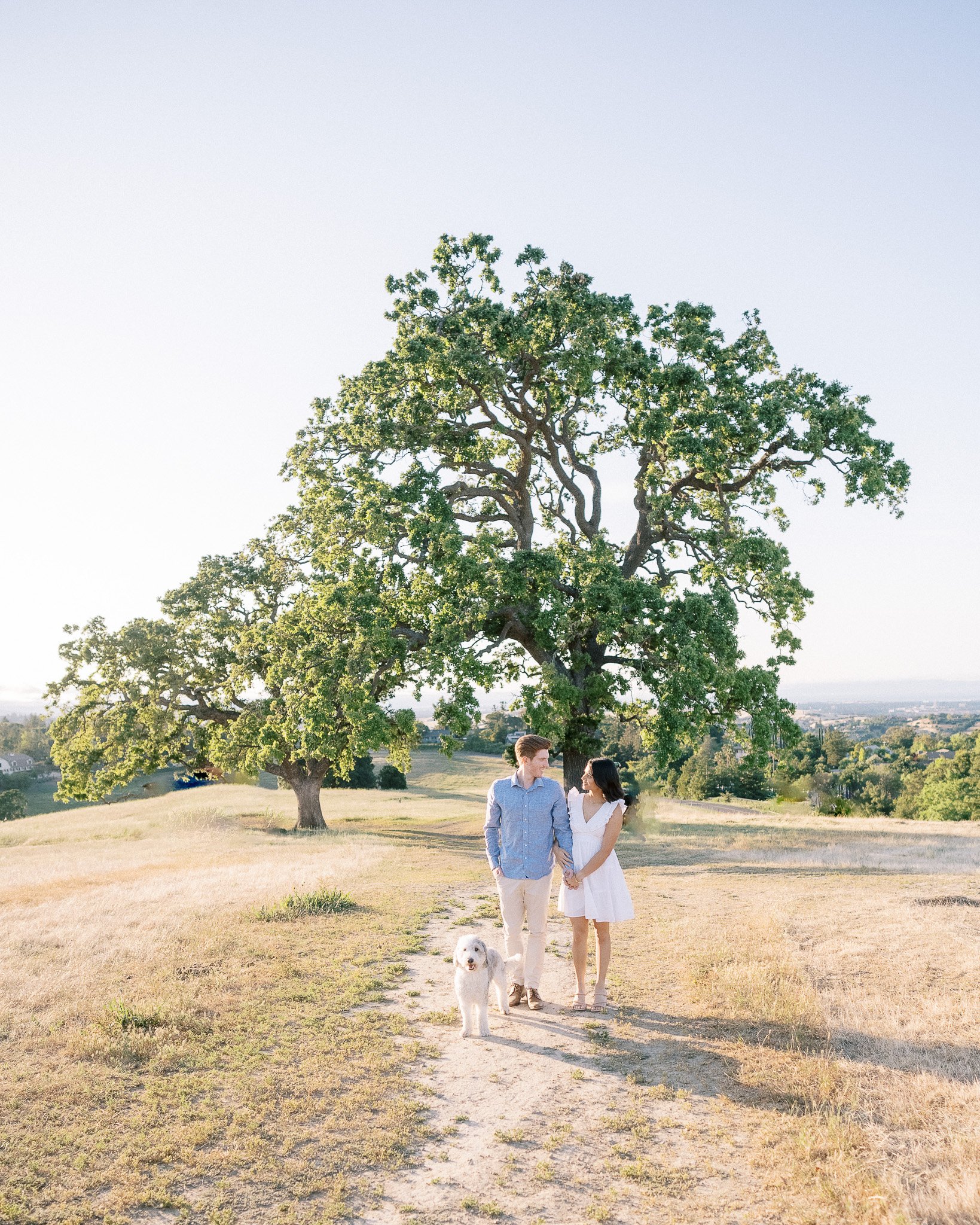 byrne-preserve-los-altos-hills-engagement-photographer-amaani-dewey-_020.jpg