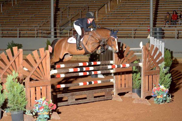 Lauren Hester won last year's $10,000 EMO Jumper Classic with Hester Equestrian's Wender, at the Pensacola Winter Circuit.