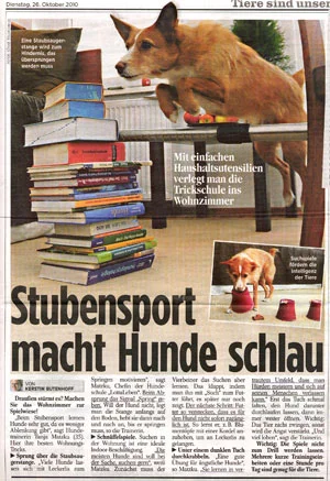 Beschäftigung für zu Hause