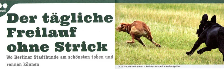 Hundeauslaufgebiete und Hundeplätze in Berlin