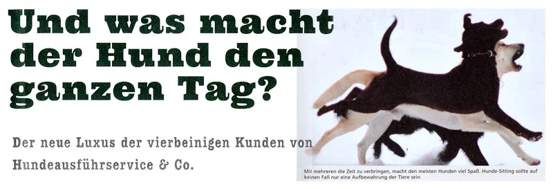 Raus aus dem goldenen Käfig!