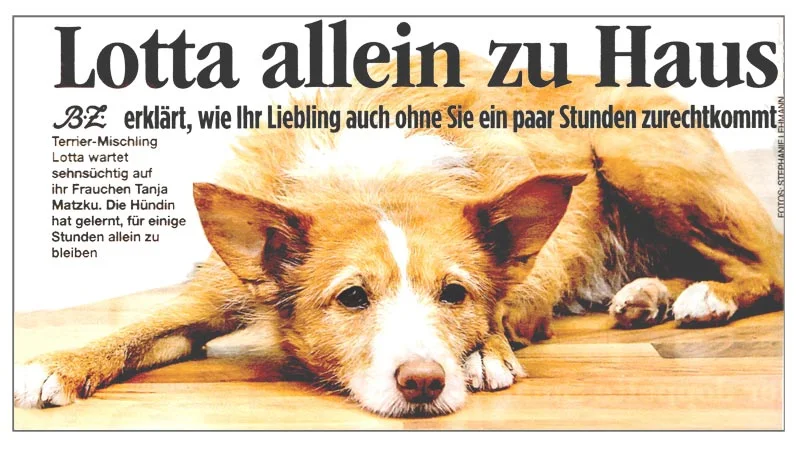 Der Morgenspaziergang ist der wichtigste...