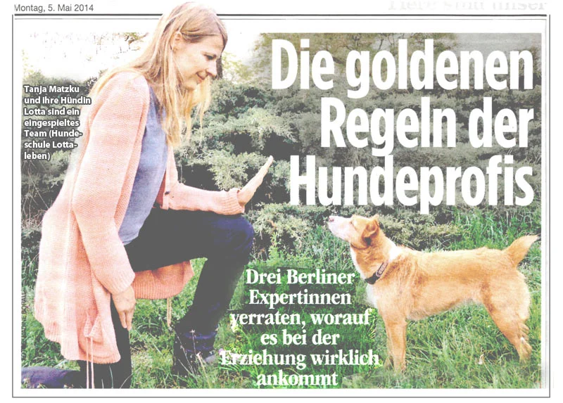 Hunde in der Stadt - Grenzenlose Freiheit?