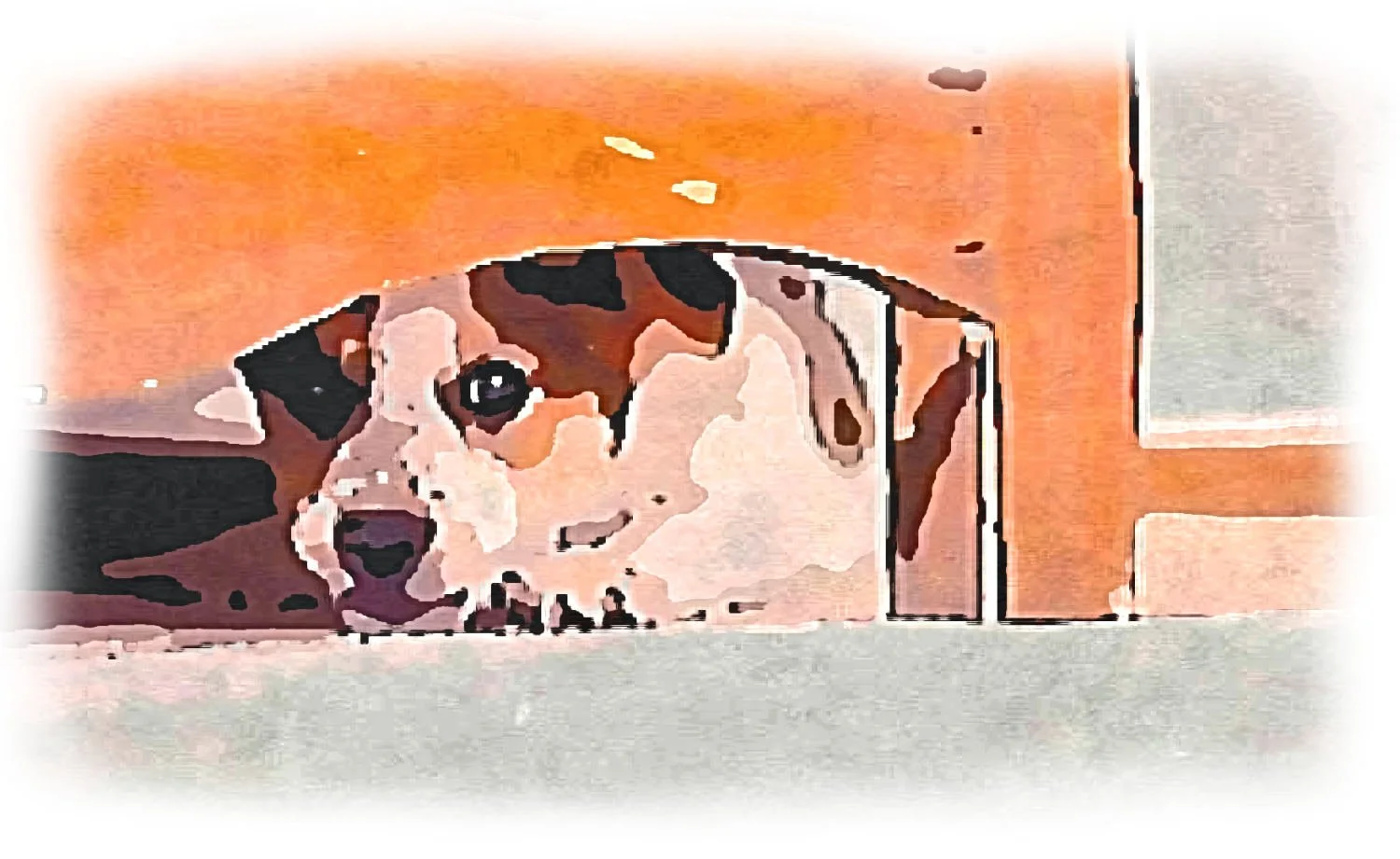 45-hundeschule-lottaleben-hundetraining-berlin-hund-angst-silvester.jpg