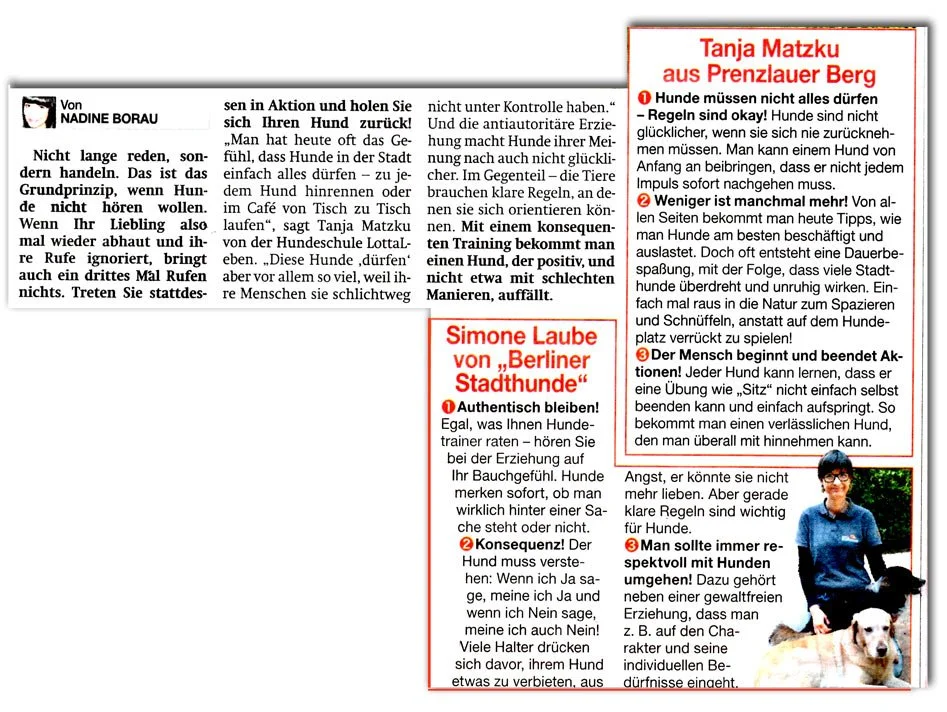 Hundeschule LottaLeben Hundetraining Berlin Tipps von Hundeprofis in der Berliner Zeitung