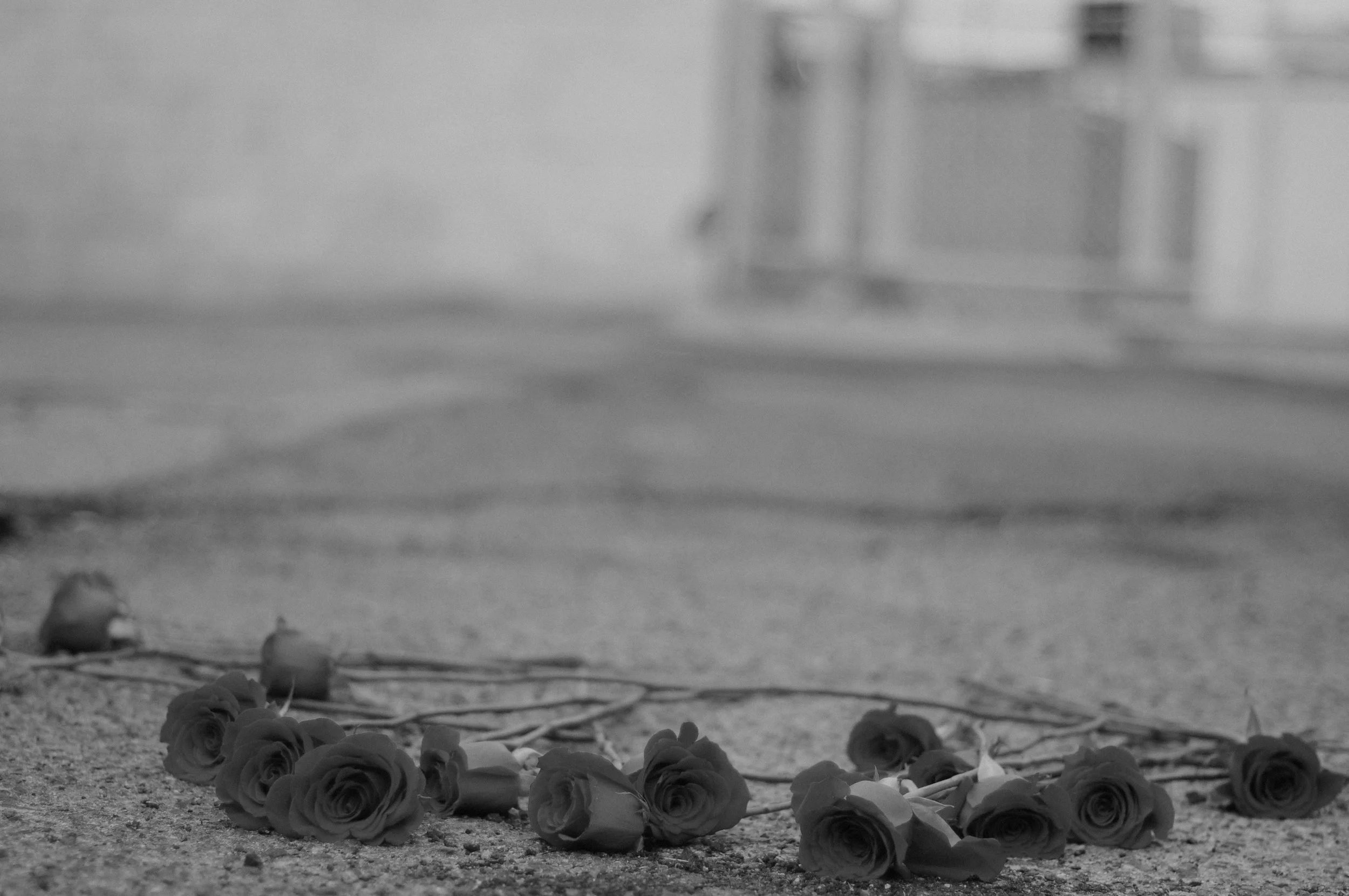 DSC_0666.JPG
