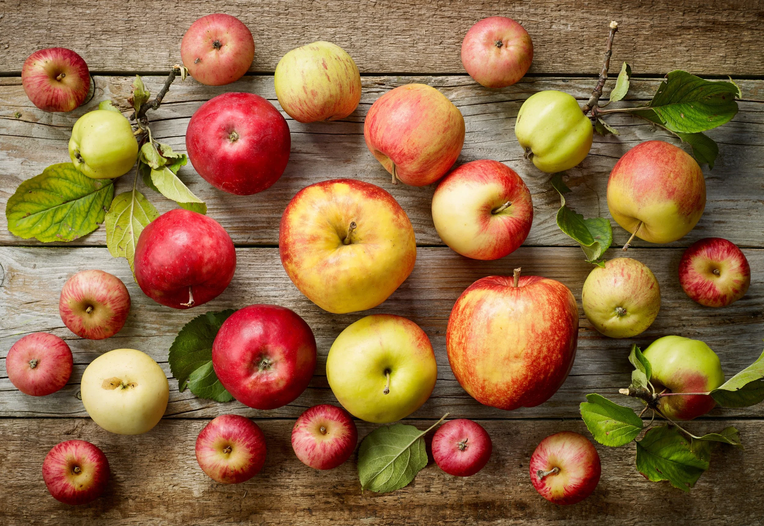 Apple Cider Sangria Saturday with Live Music