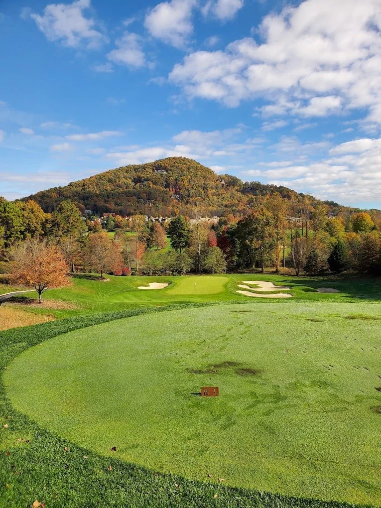 Women of Waynesville is now a Participating Charity in the&nbsp;Birdies for Charity Fundraiser