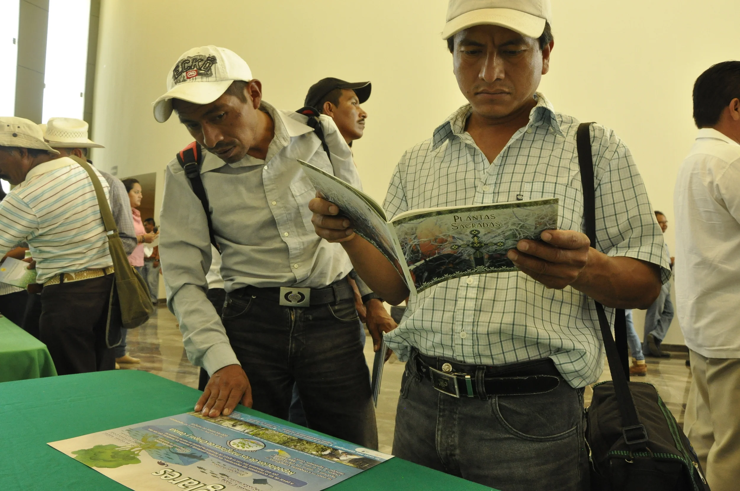 Participants of the Forestry Congress of Chiapas.