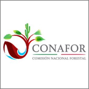Comisión Nacional Forestal