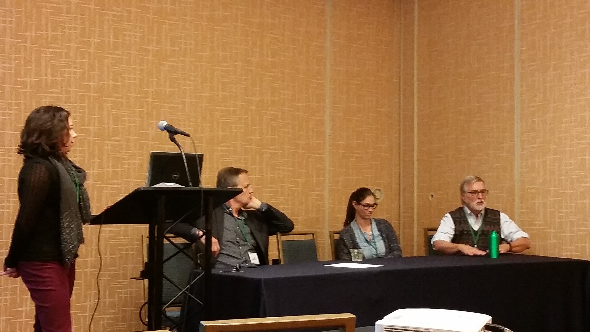 Maria DiGiano (EII) moderates a panel of discussants