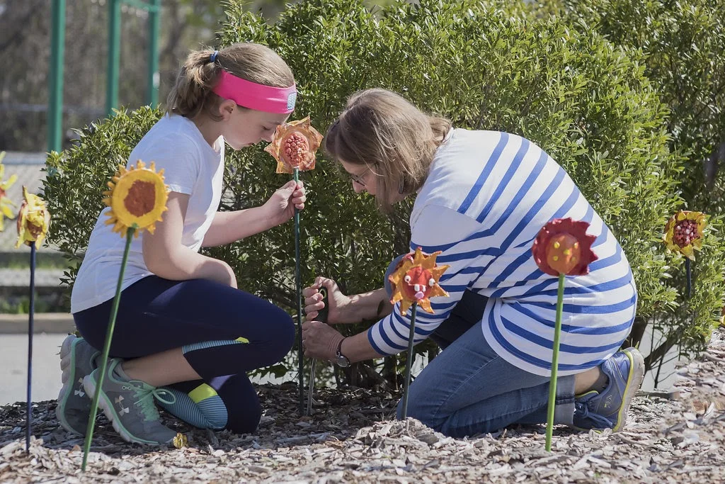 Join our Board for Daffodil Bulb Planting