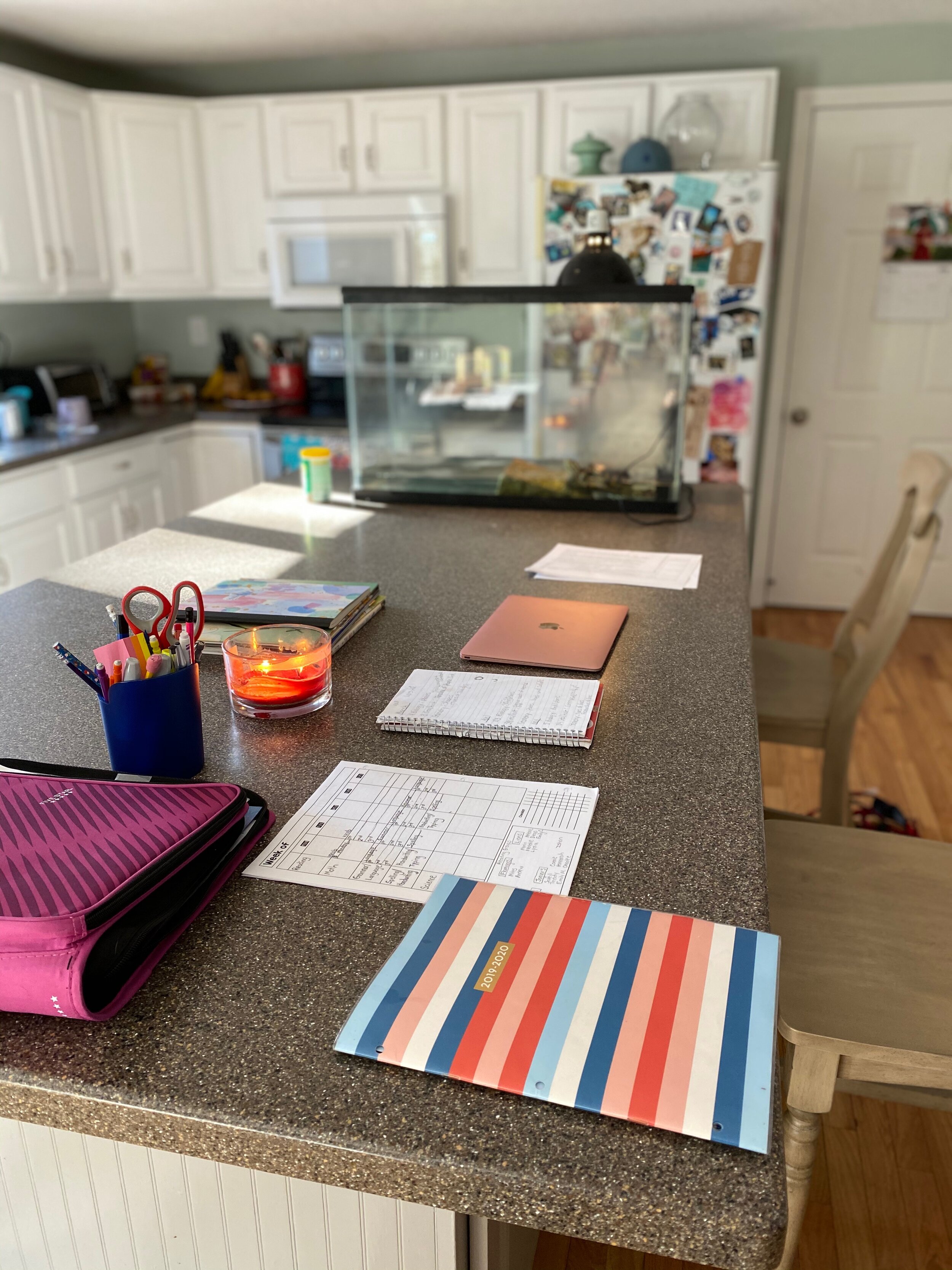 EI teacher Rebecca's home office.