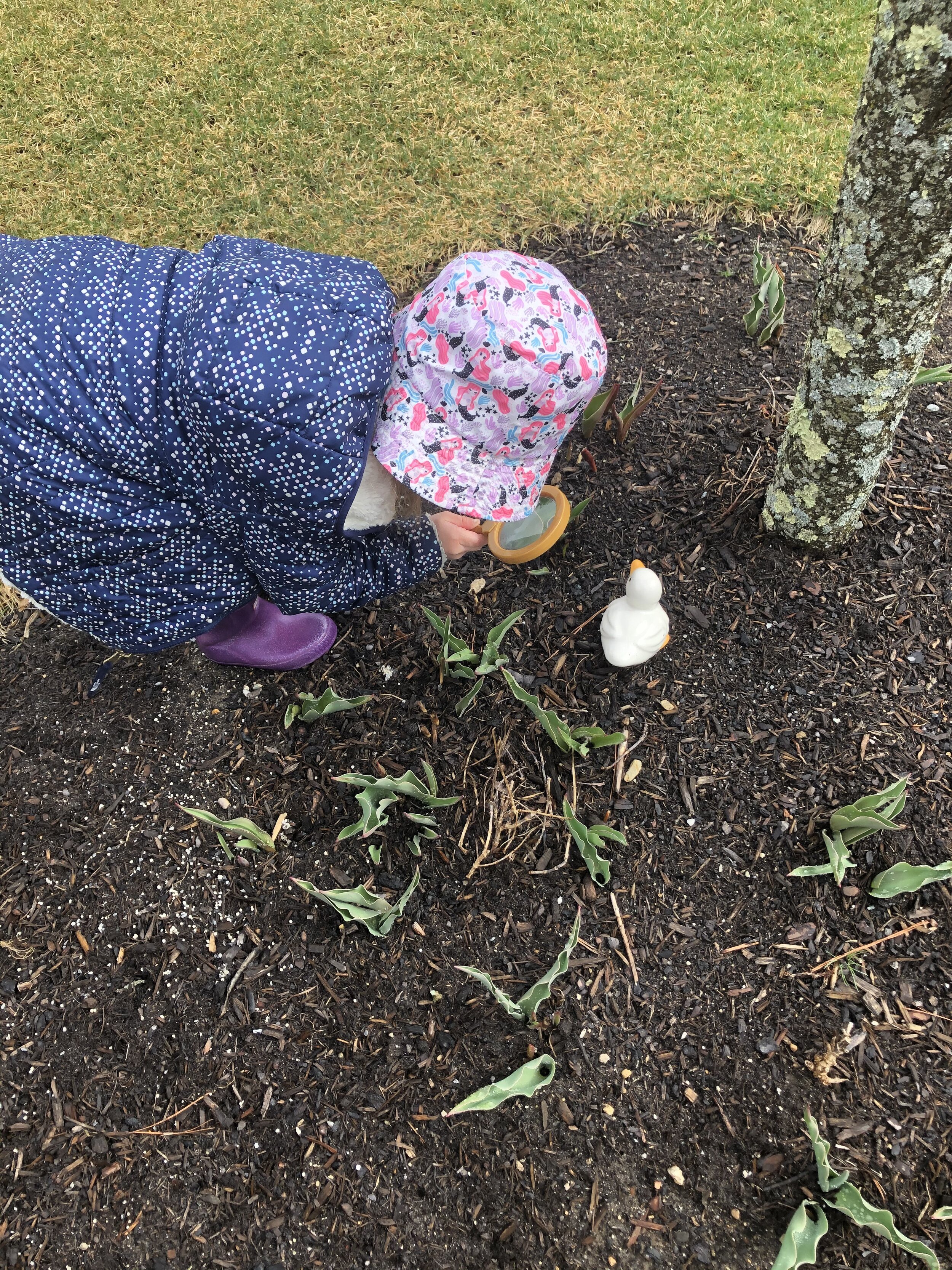 ....and a seed hunt.