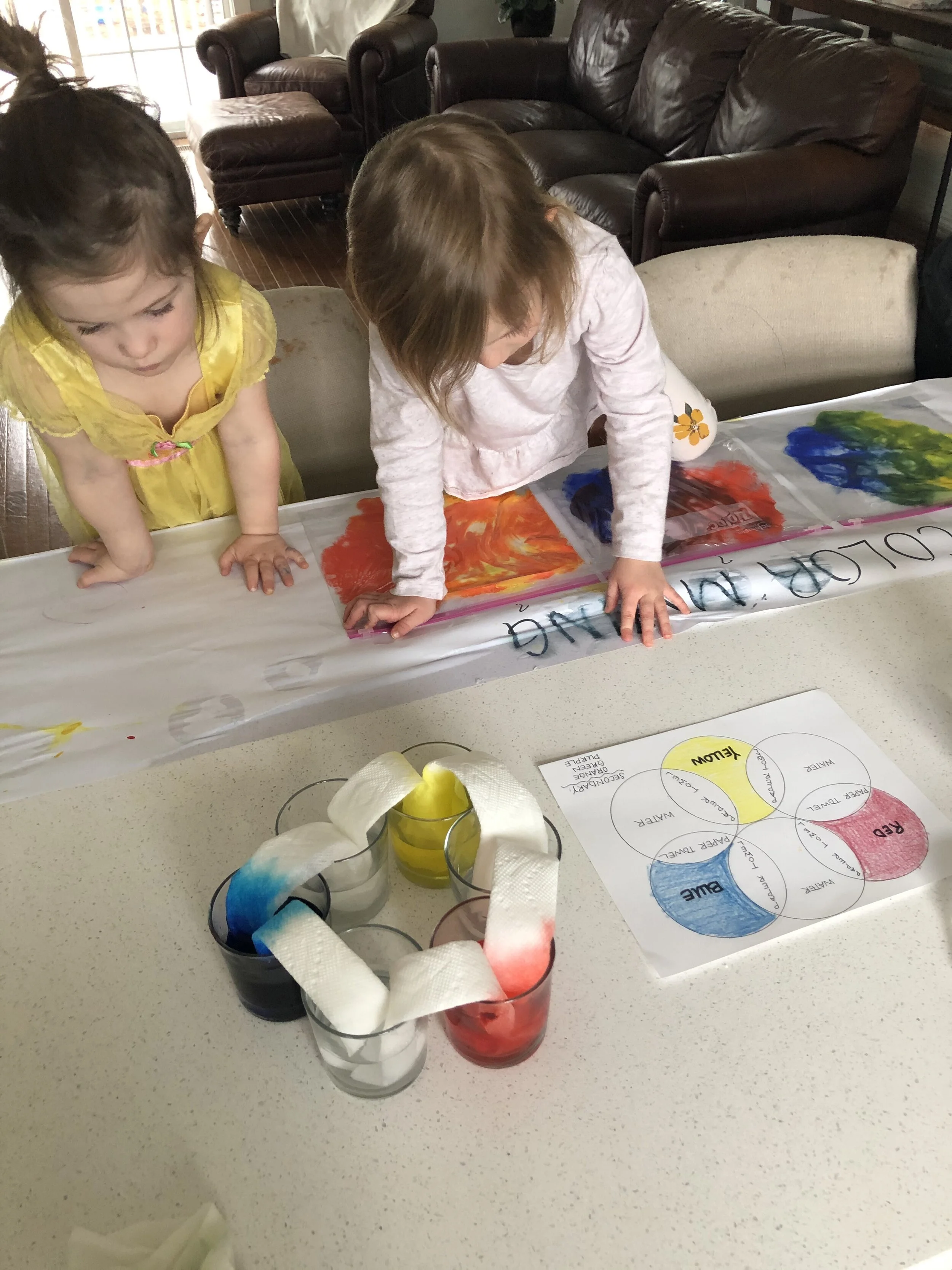 Look at the paper towels.