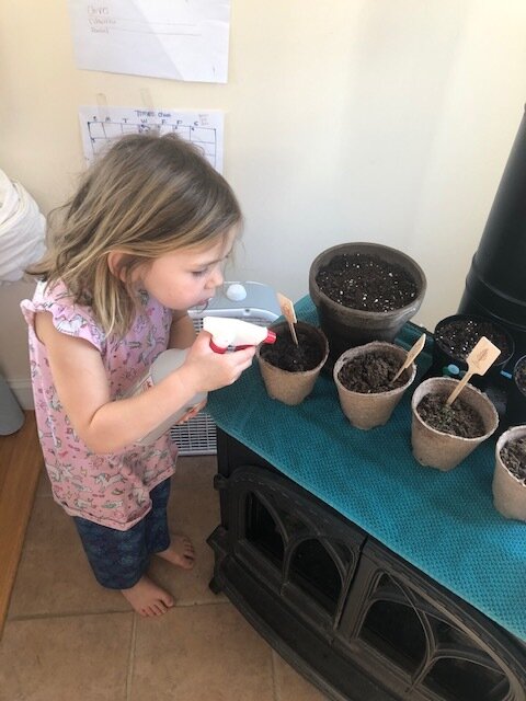 Careful observation.