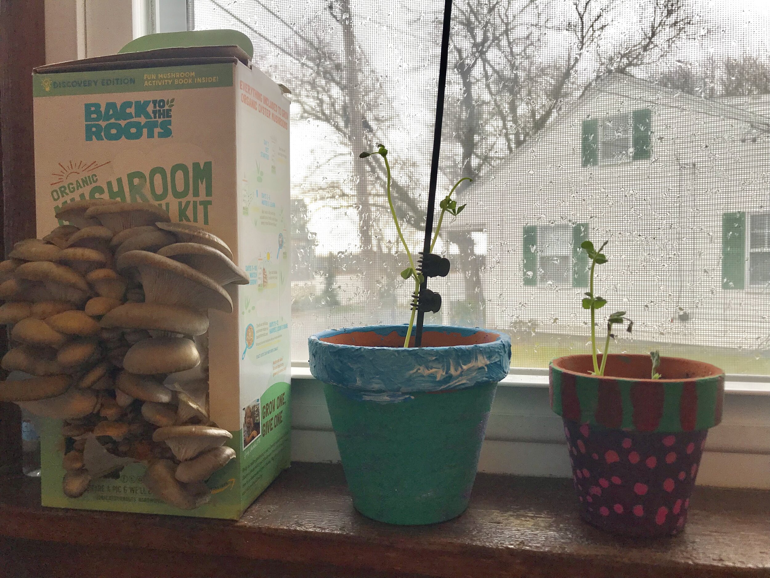 Growth happens.