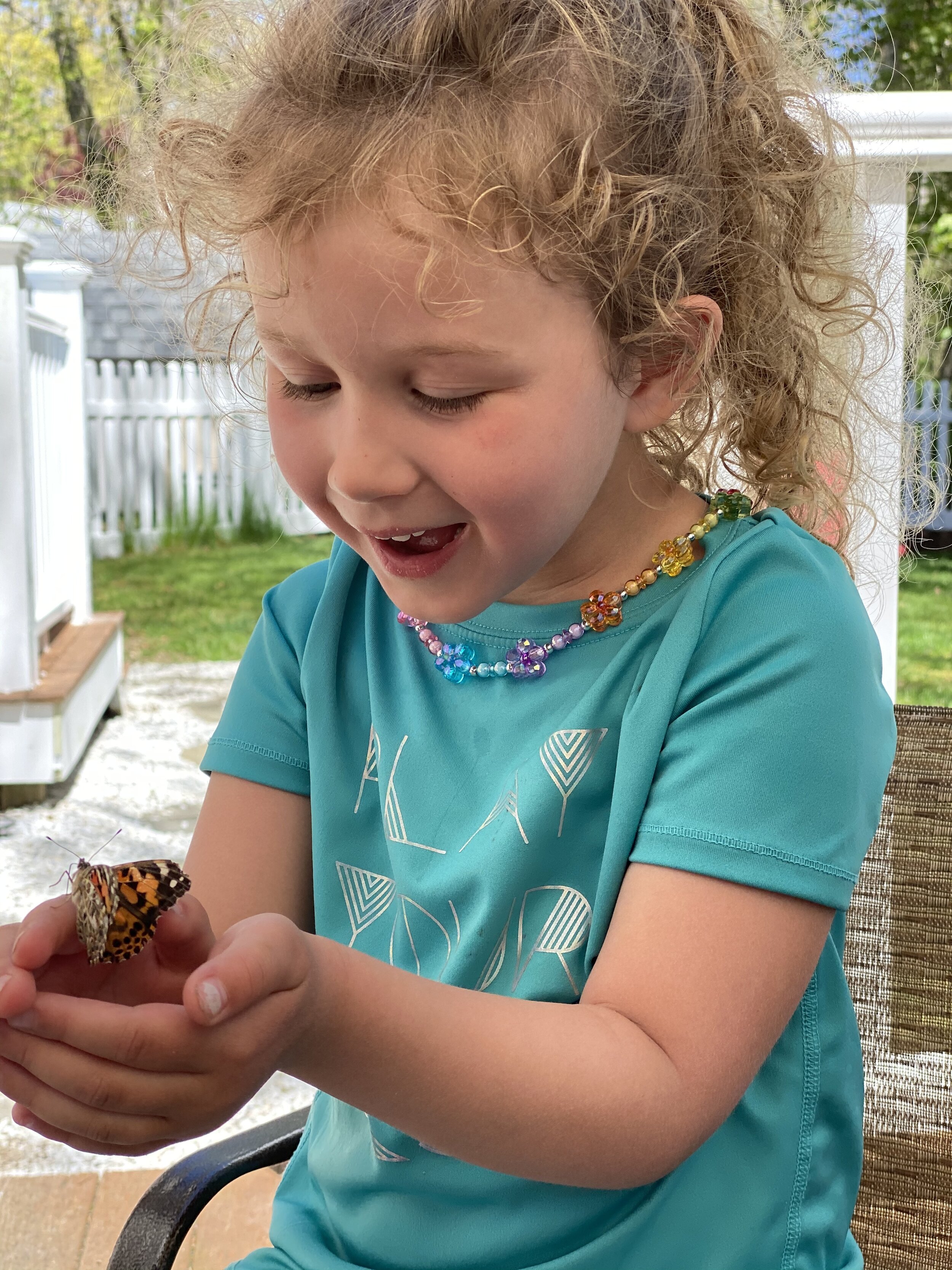 Butterfly release.... ready, set...