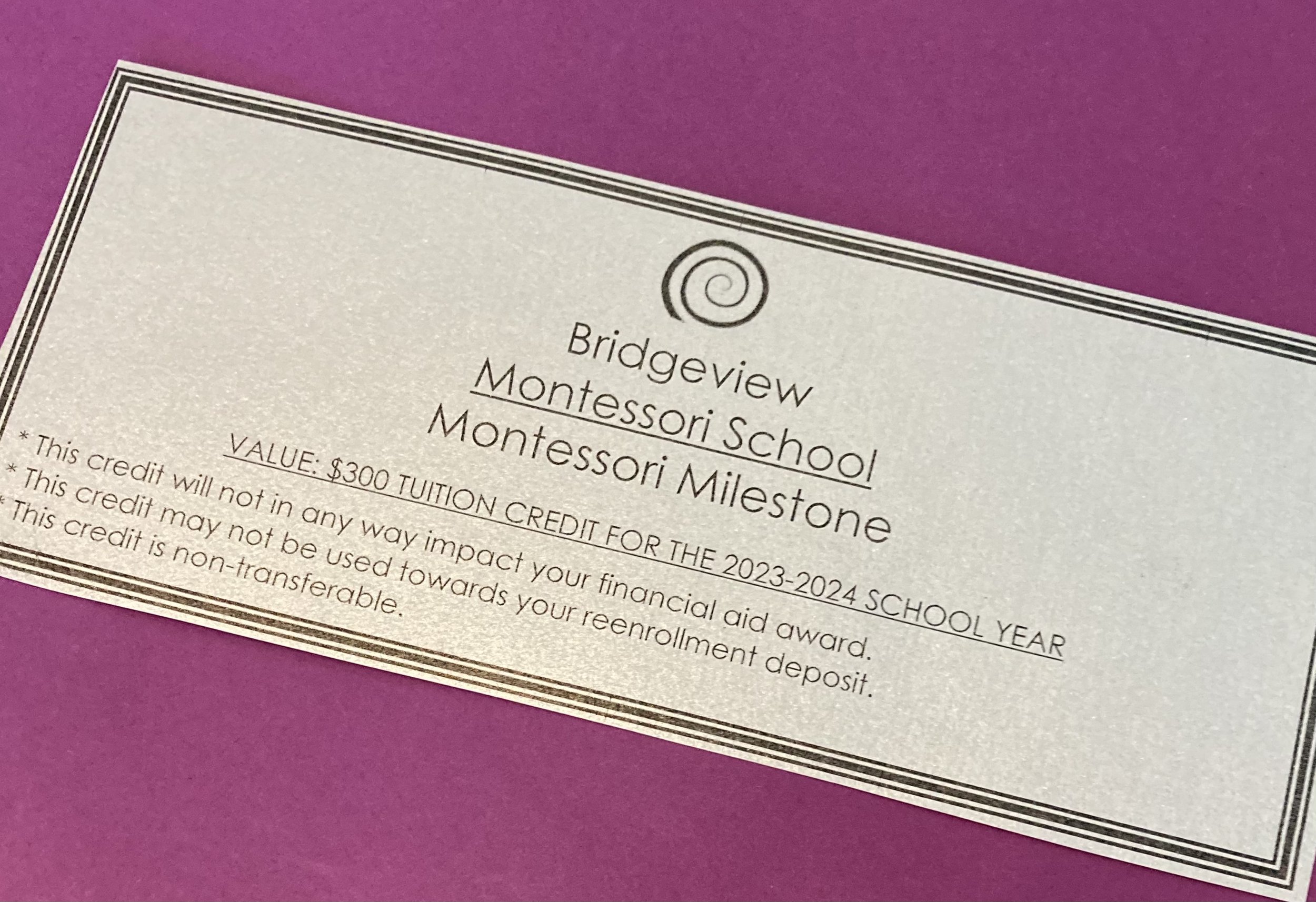 The Montessori Milestone: The Third Year of the Three-Year Cycle