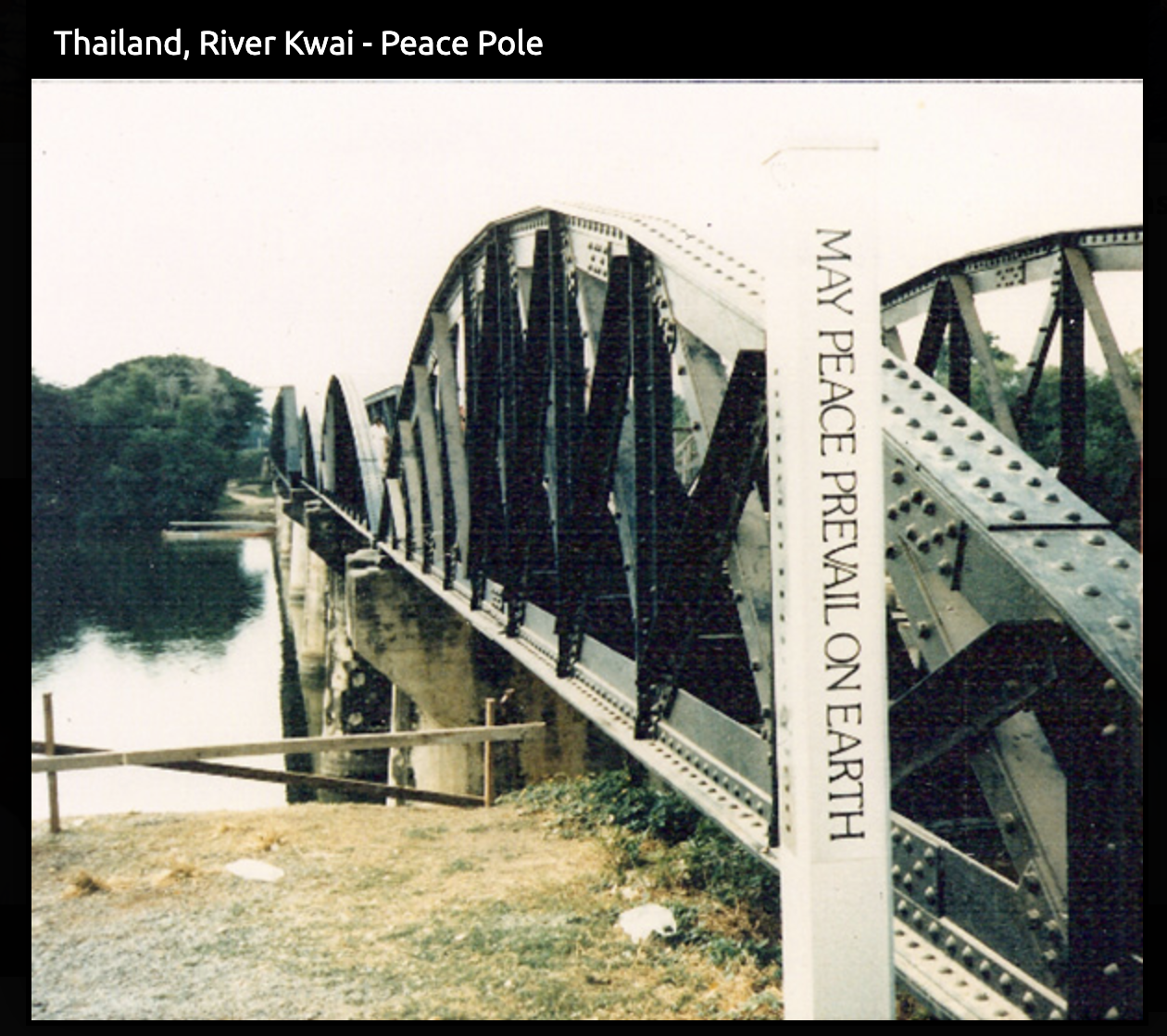 International Peace Day 