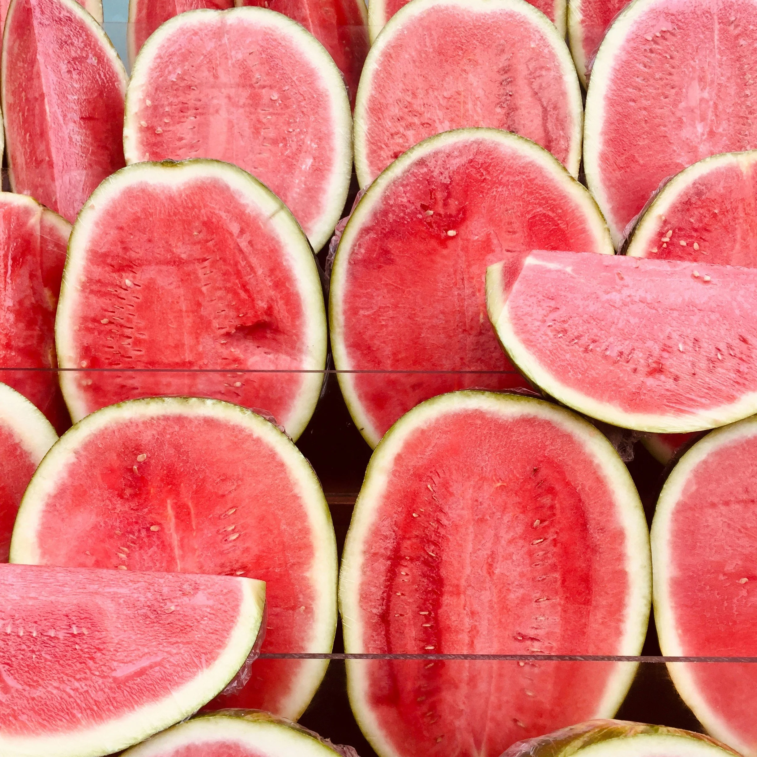 Children's House Watermelon Welcome for ALL Children's House students.