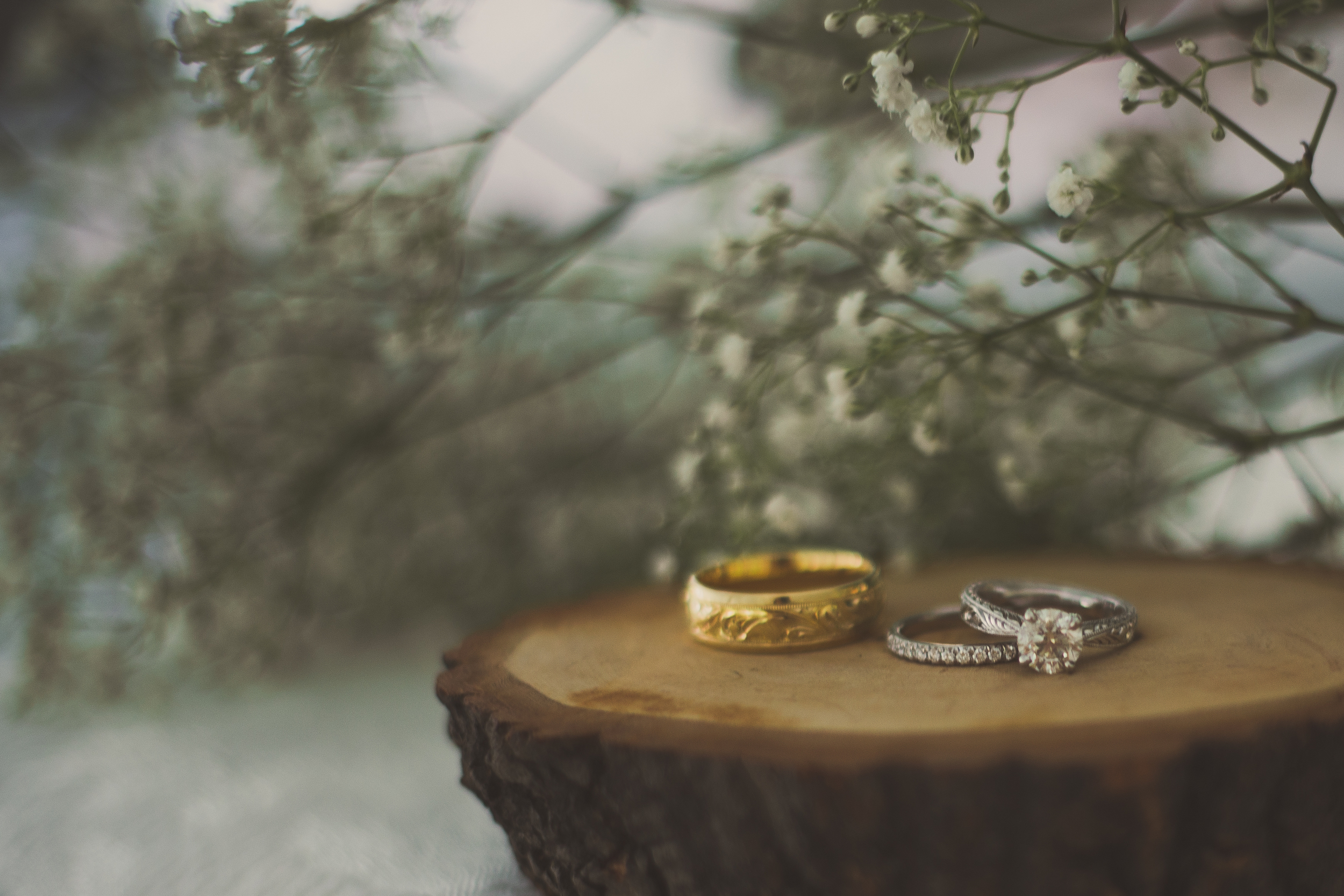 The Rings