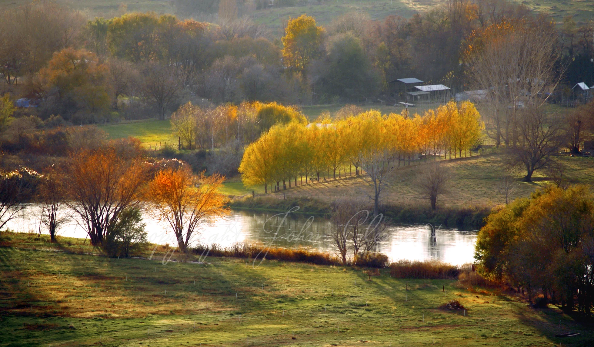 fallrow yakriver11-15.jpg