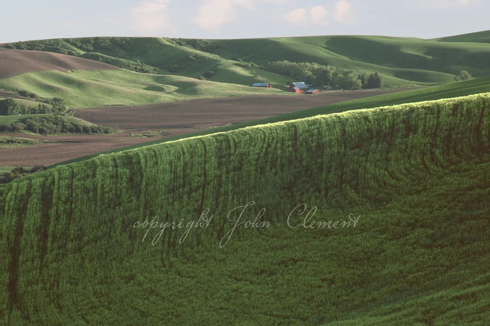 Palouse Perspective