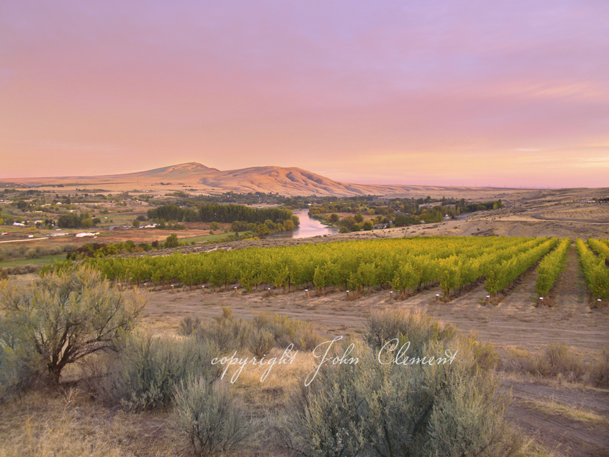 Rattlesnake Mountain and White Bluffs — John Clement Photography