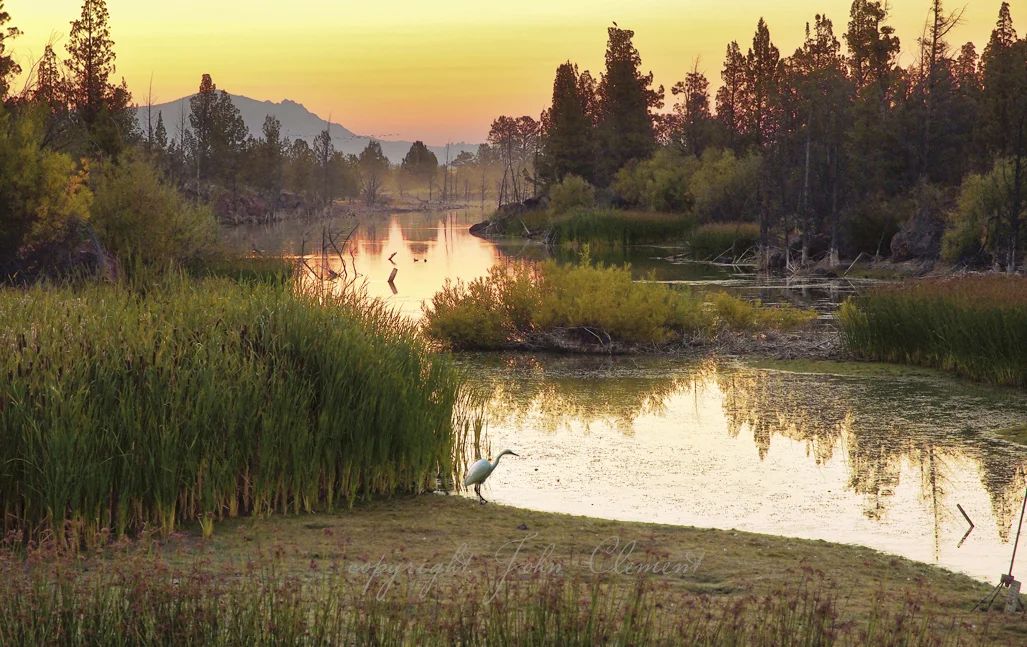 1pond.jpg