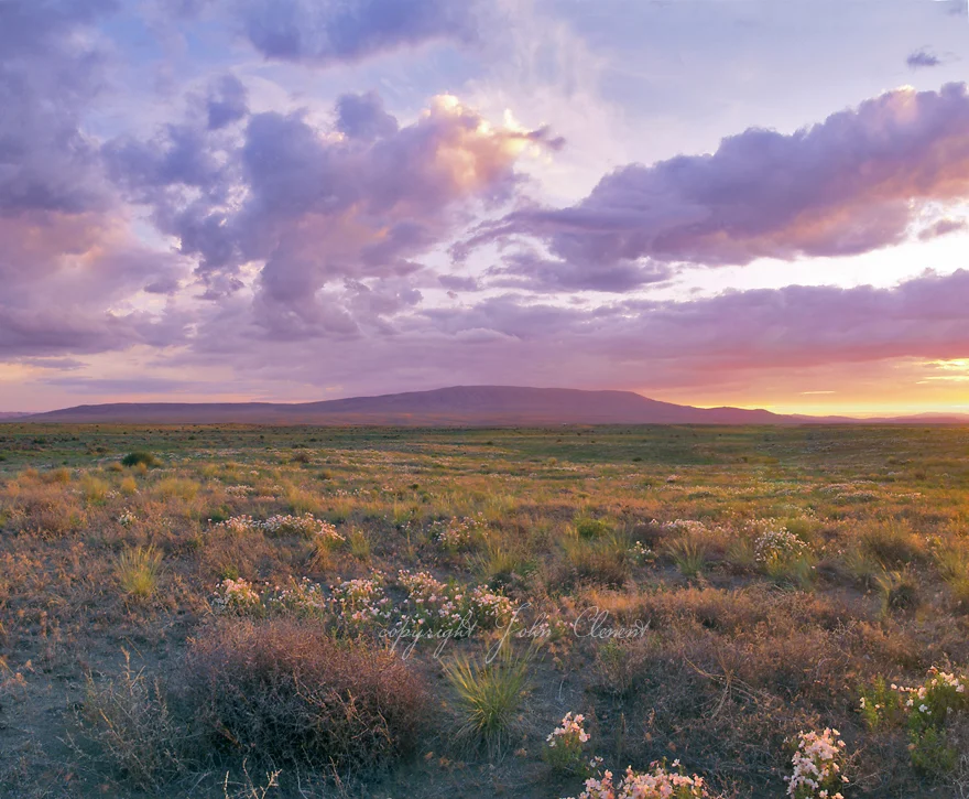 Twilight Spring Rattlesnake Mountain