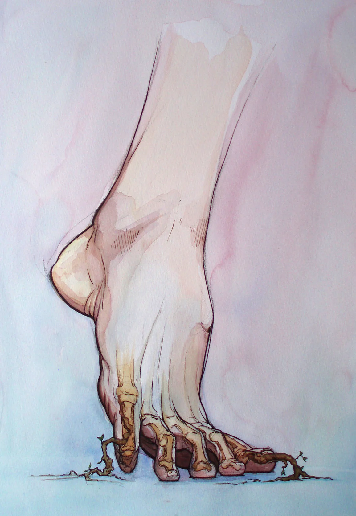 Rooted Steps (sold)