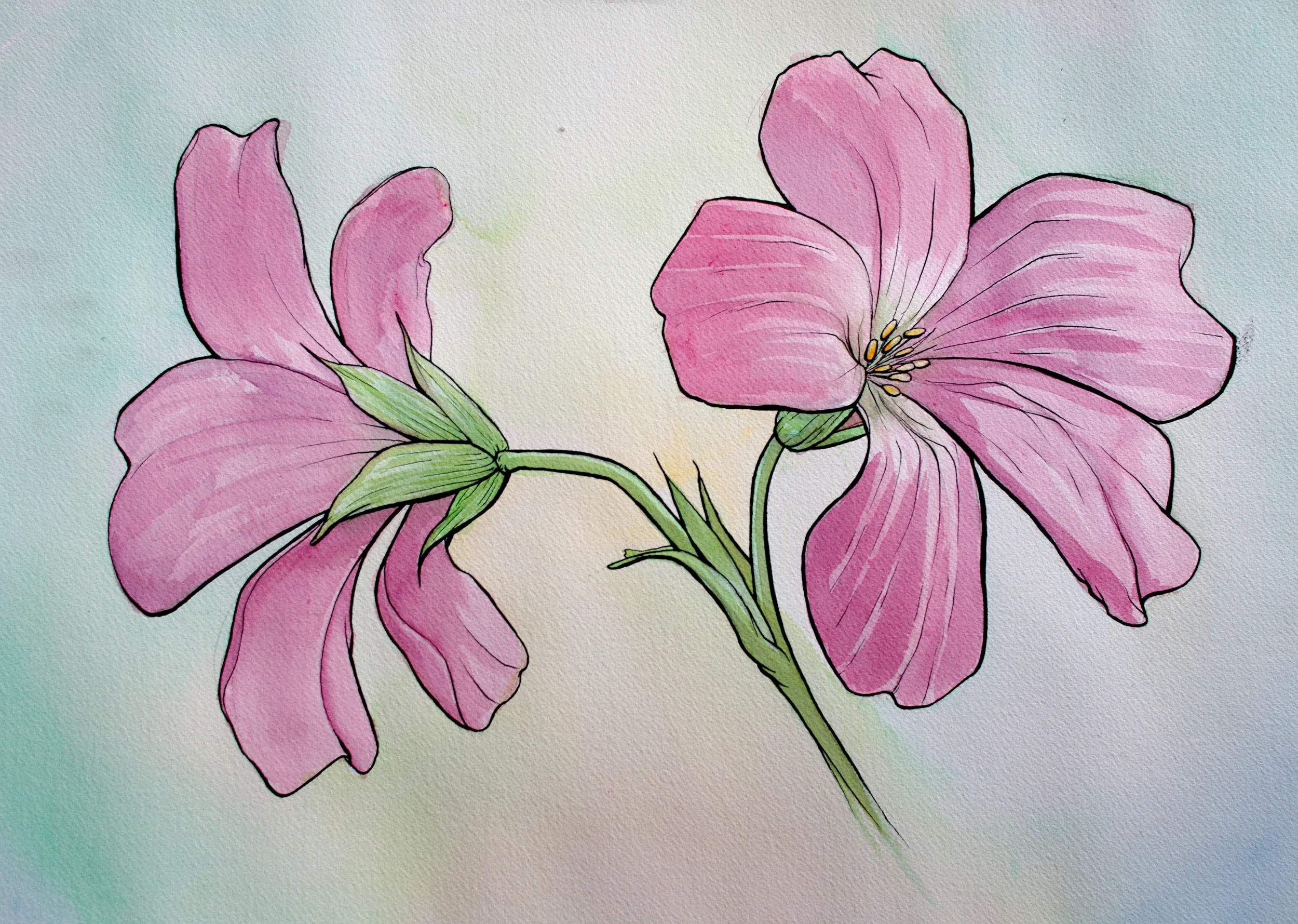 Pink (sold)