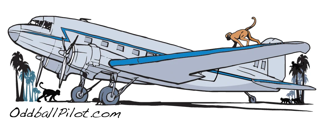 Oddball Pilot Avation Service