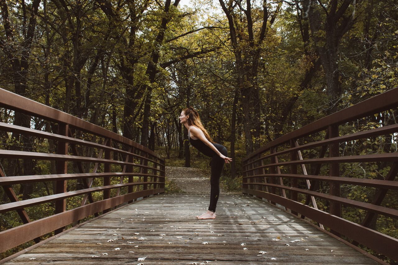 Swan Dive