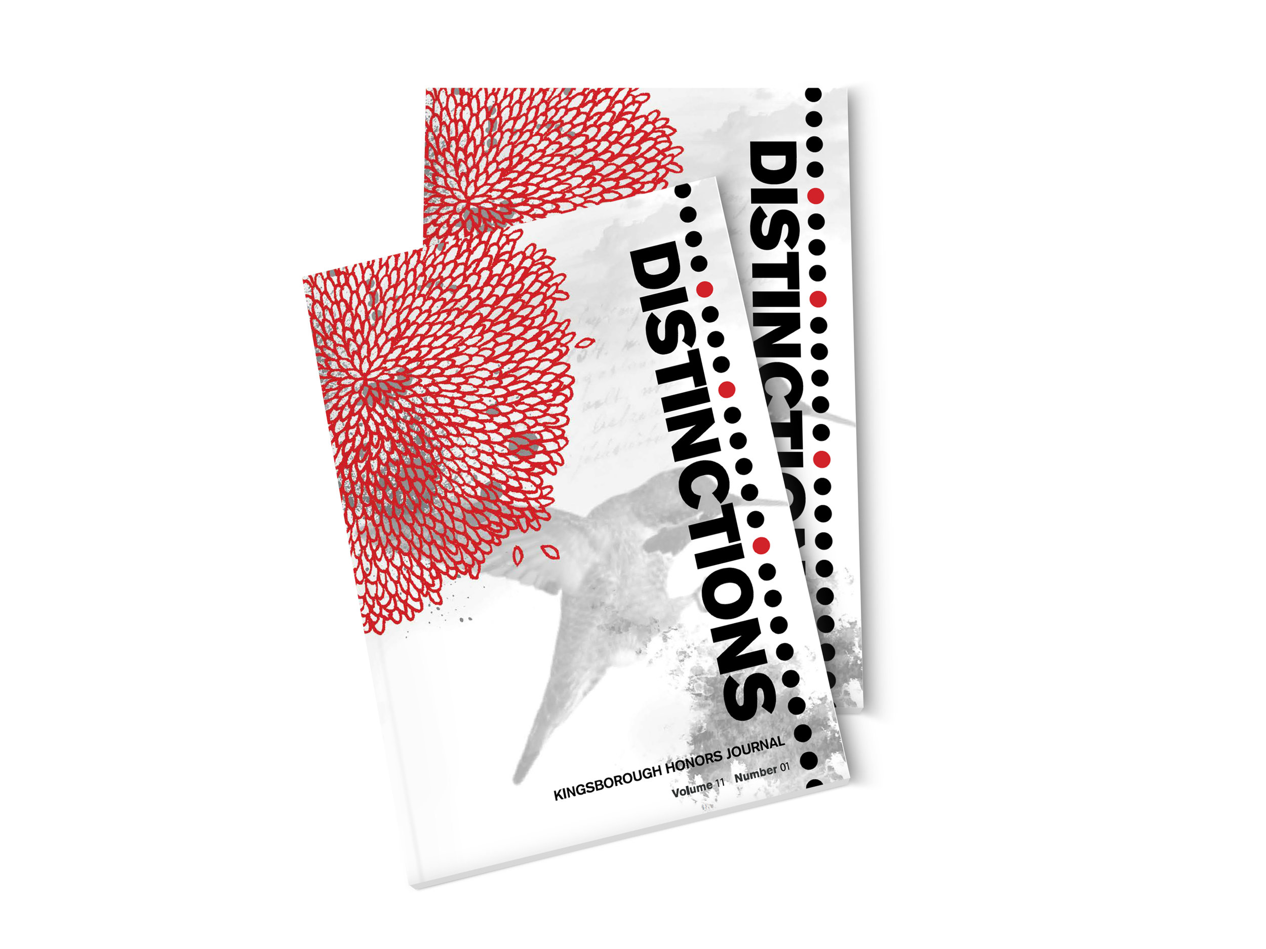 DISTINCTIONS Front Cover Update.jpg