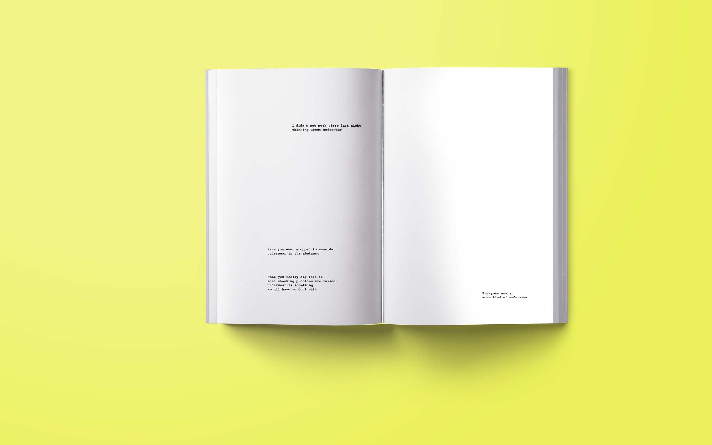 underwear_poetry_book_2.jpg