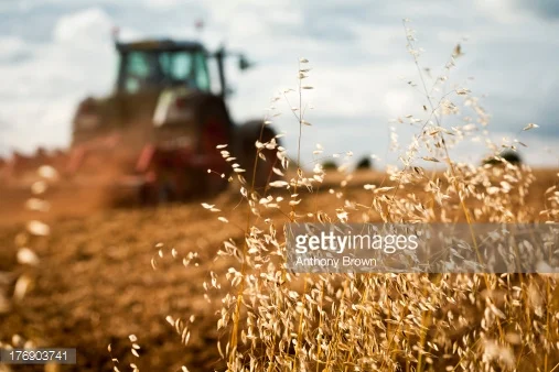 Practices: Tillage & Cover Crops