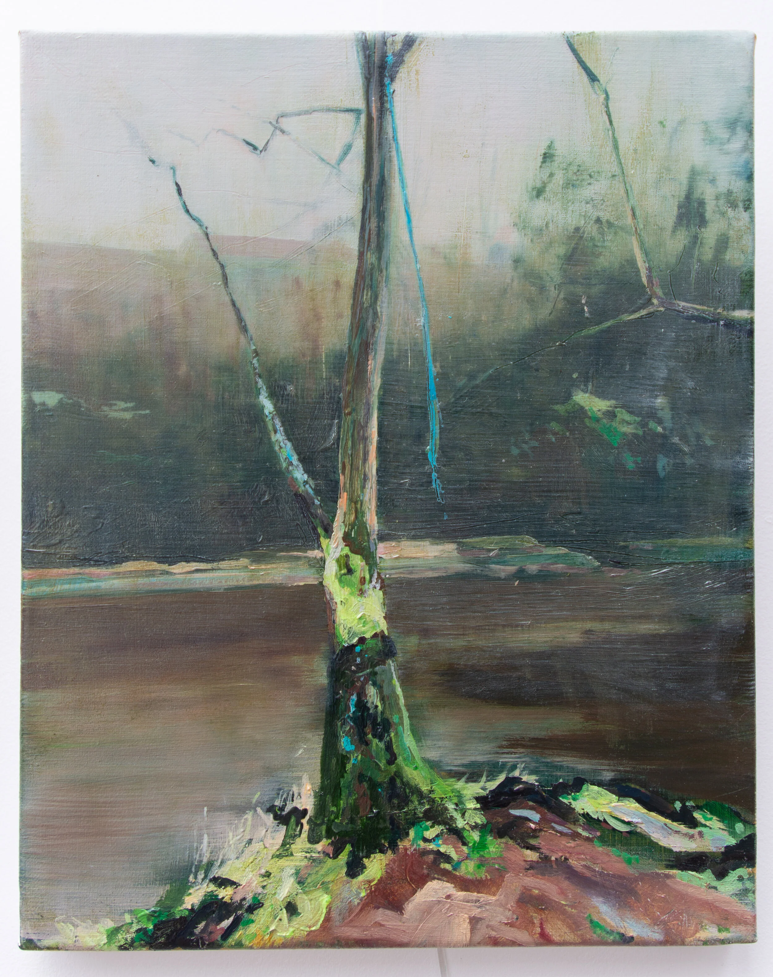 Untitled (Gallows Tree 1)