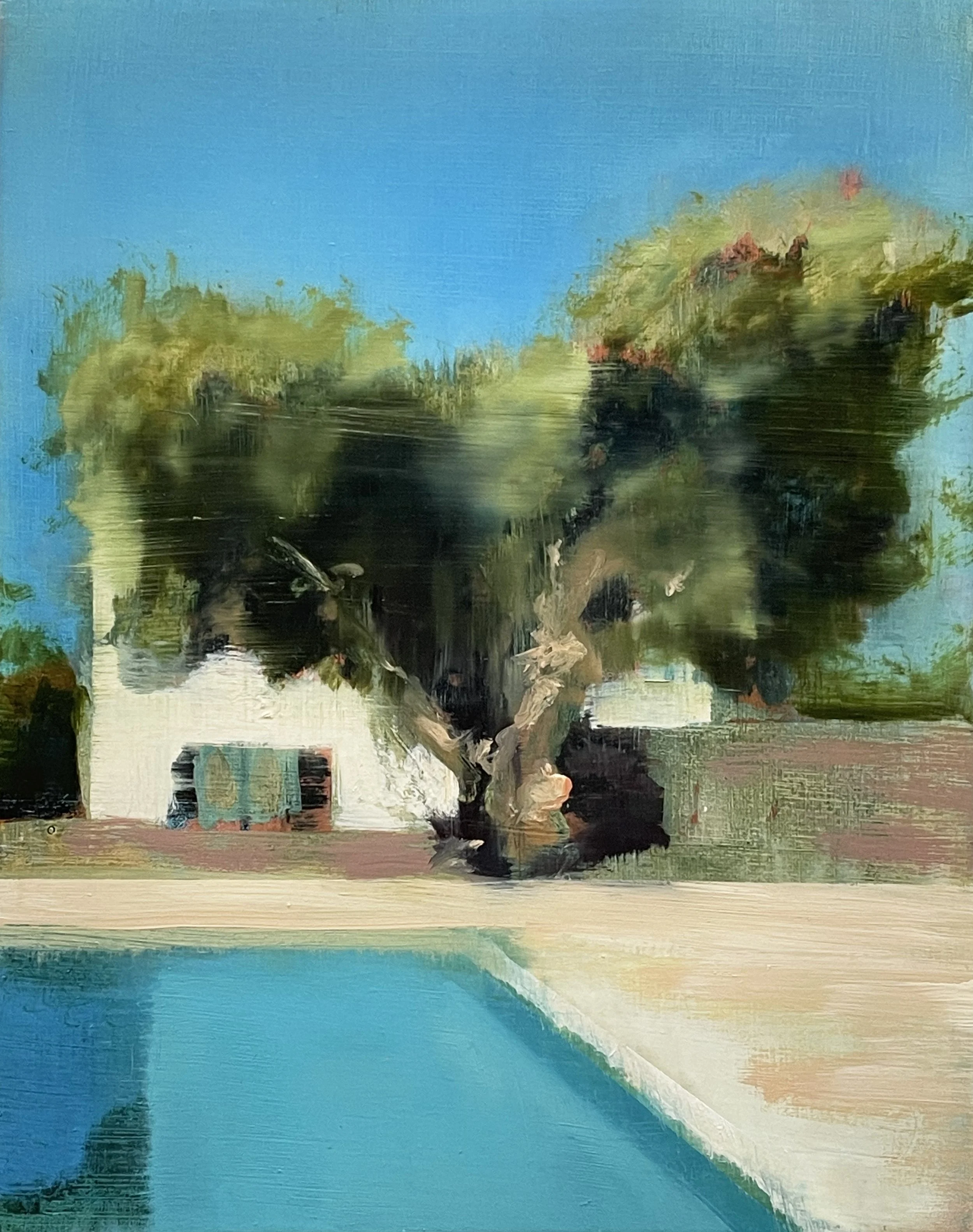 The Olive Tree