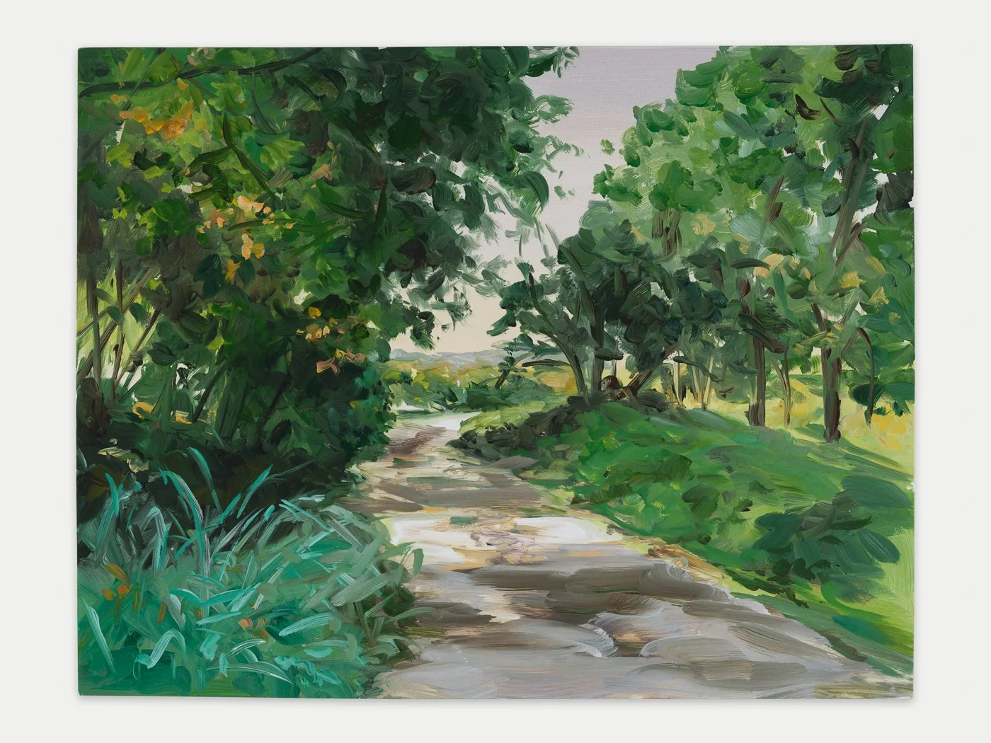 Looking for Conard Wood 6