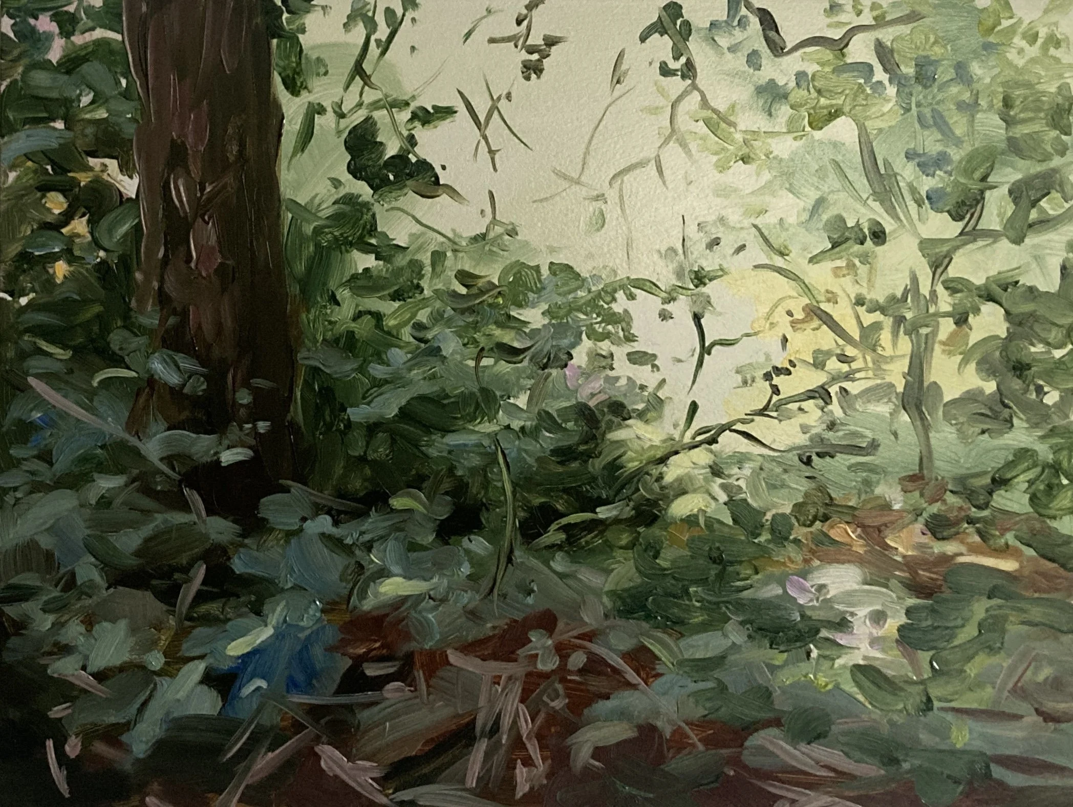 The Space by James Lane, Later Summer 2, 2024