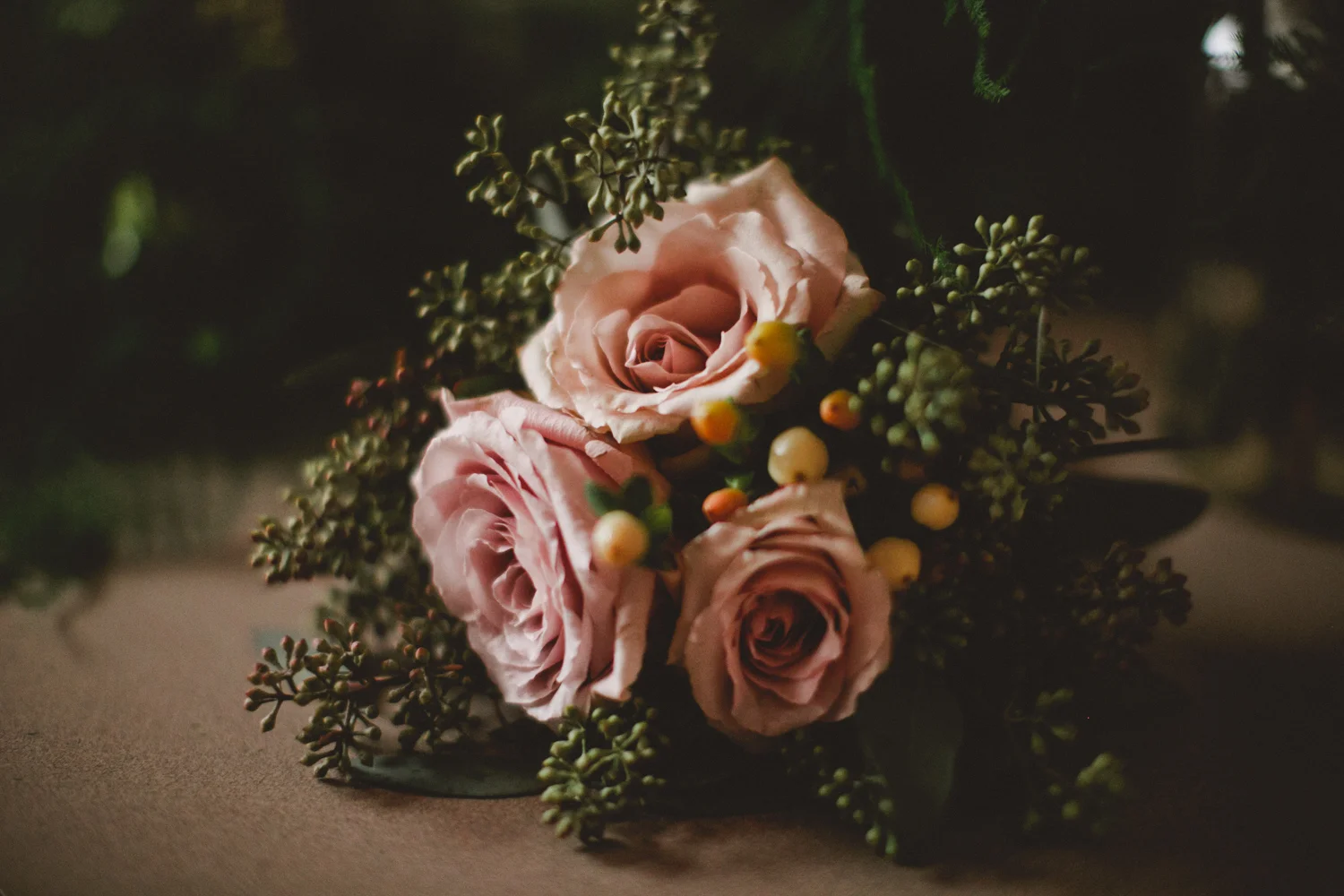 She2015 - MarissaDanBlog-10.jpg